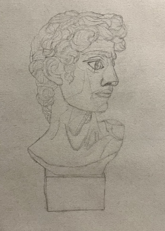 drawing of a cast of michaelangelo's david